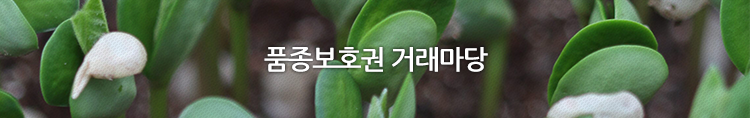 사용자 업로드 이미지