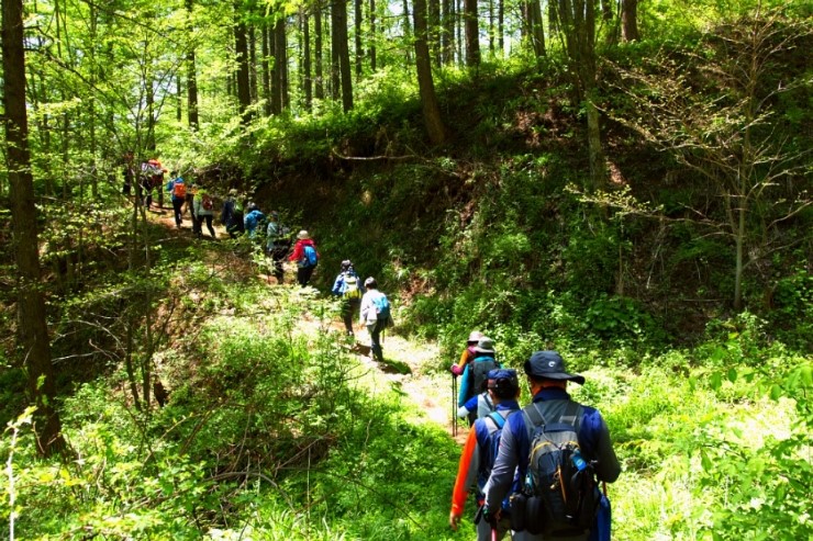 사용자 업로드 이미지