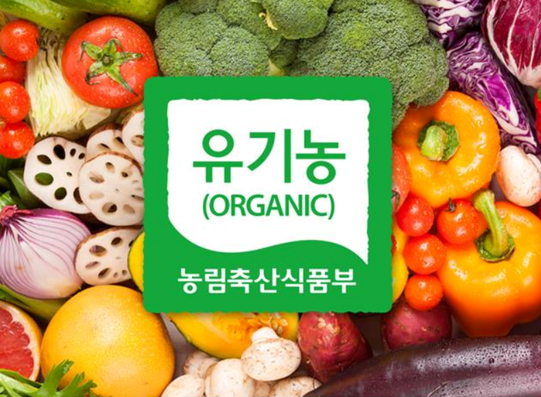 사용자 업로드 이미지