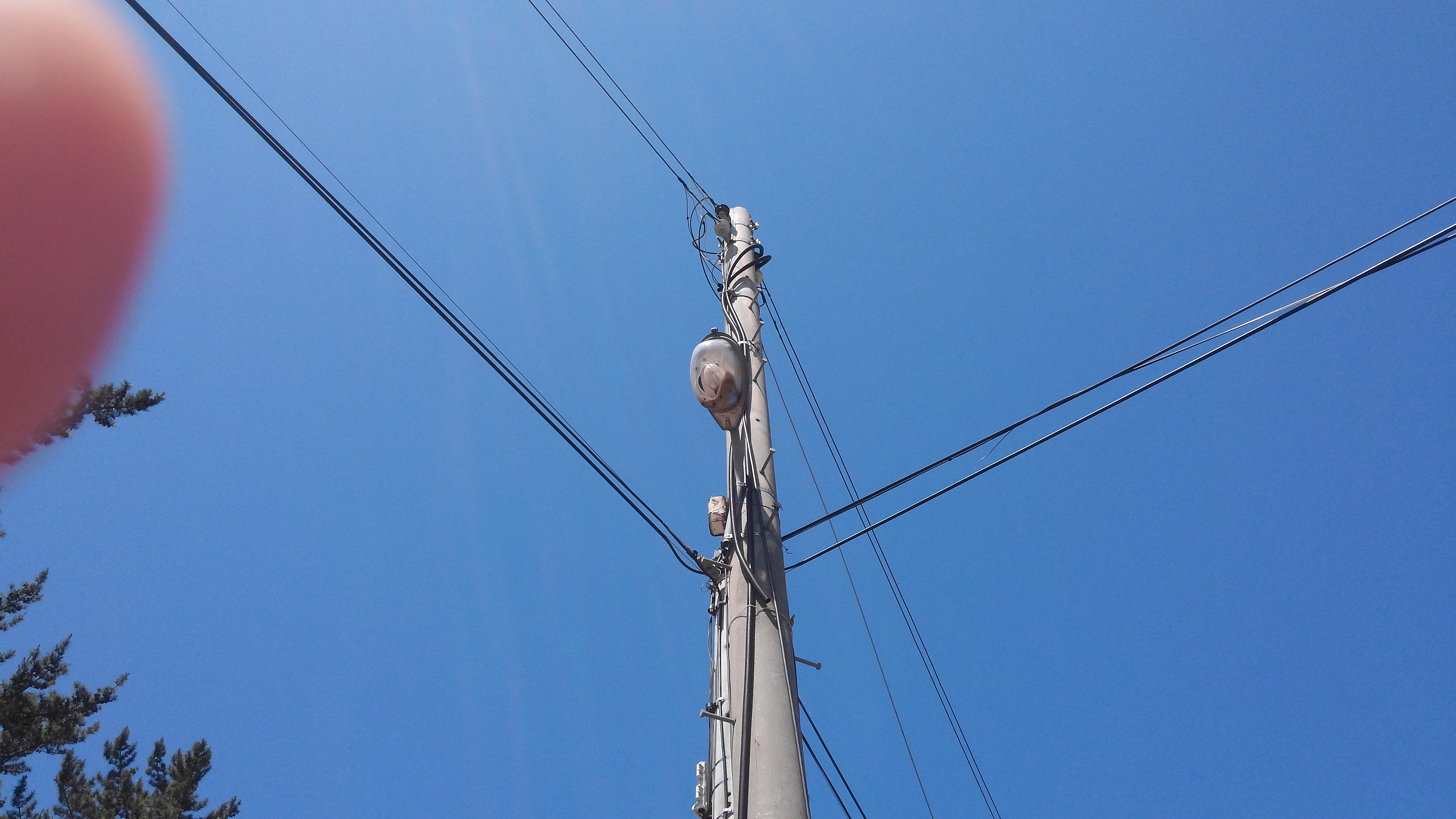 사용자 업로드 이미지