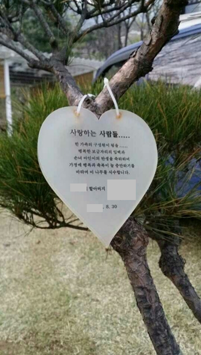 사용자 업로드 이미지