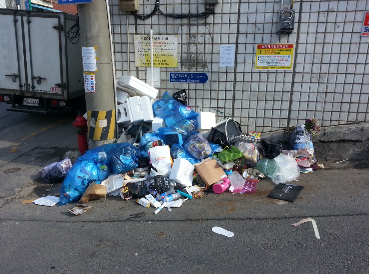 사용자 업로드 이미지