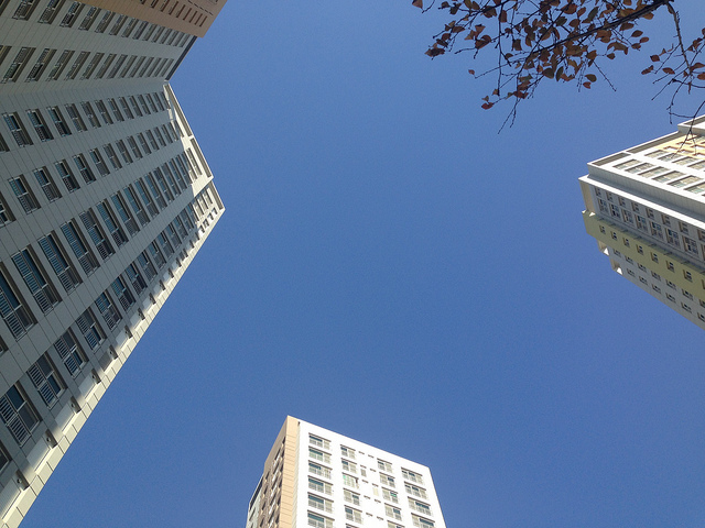 사용자 업로드 이미지