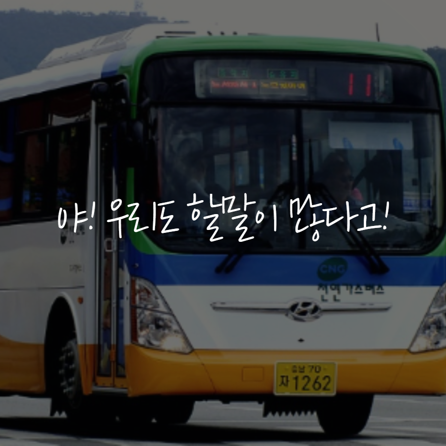 사용자 업로드 이미지