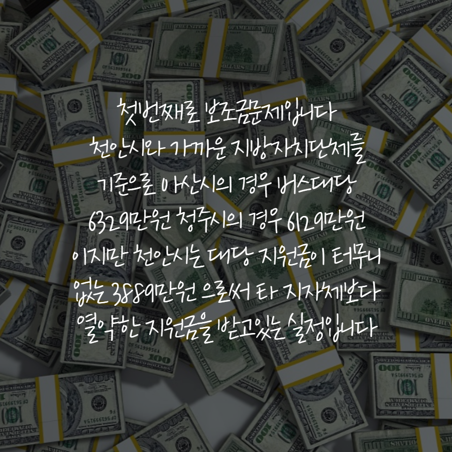 사용자 업로드 이미지