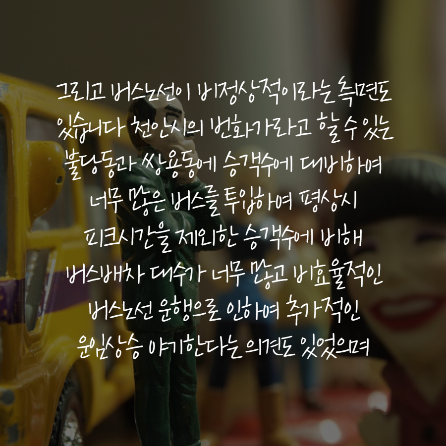 사용자 업로드 이미지