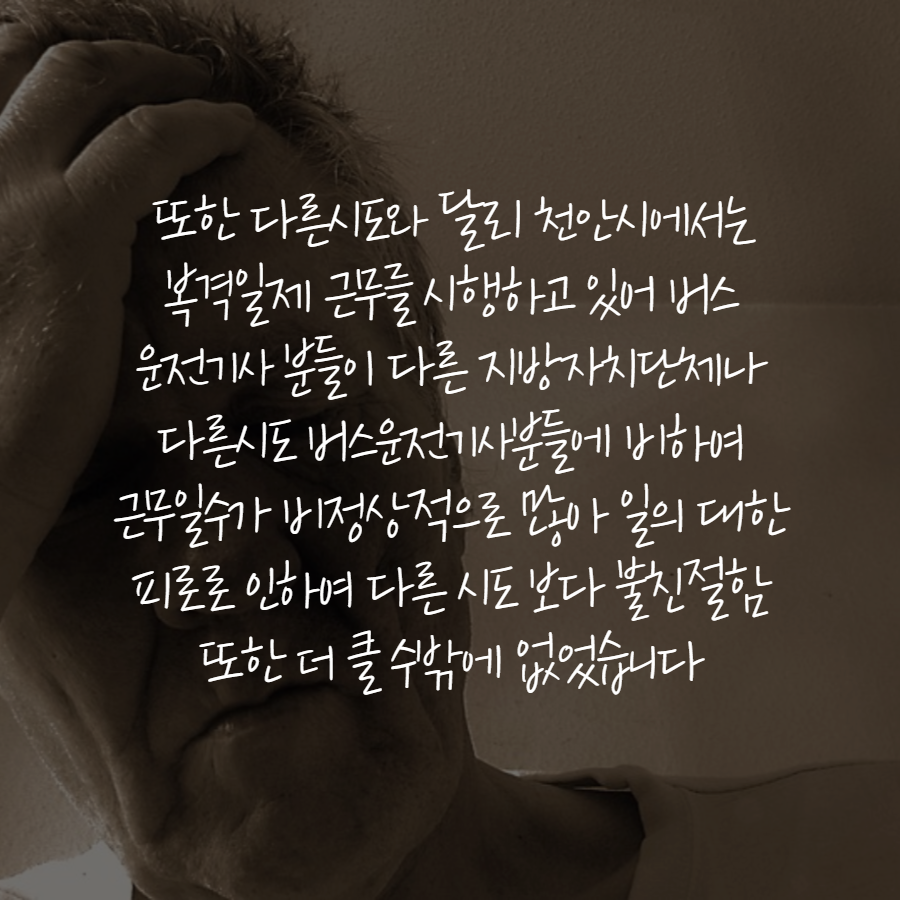 사용자 업로드 이미지