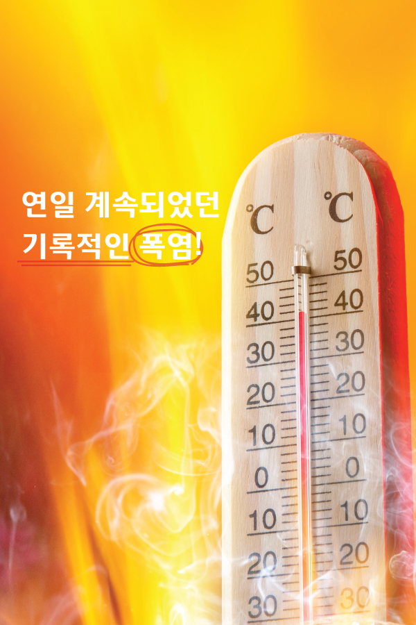 사용자 업로드 이미지