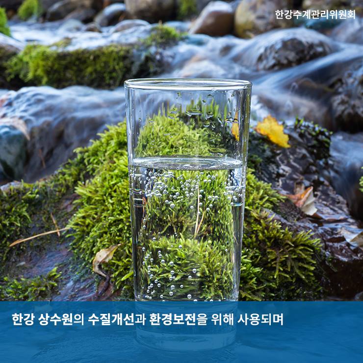 사용자 업로드 이미지