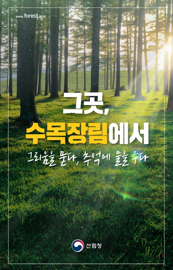 사용자 업로드 이미지