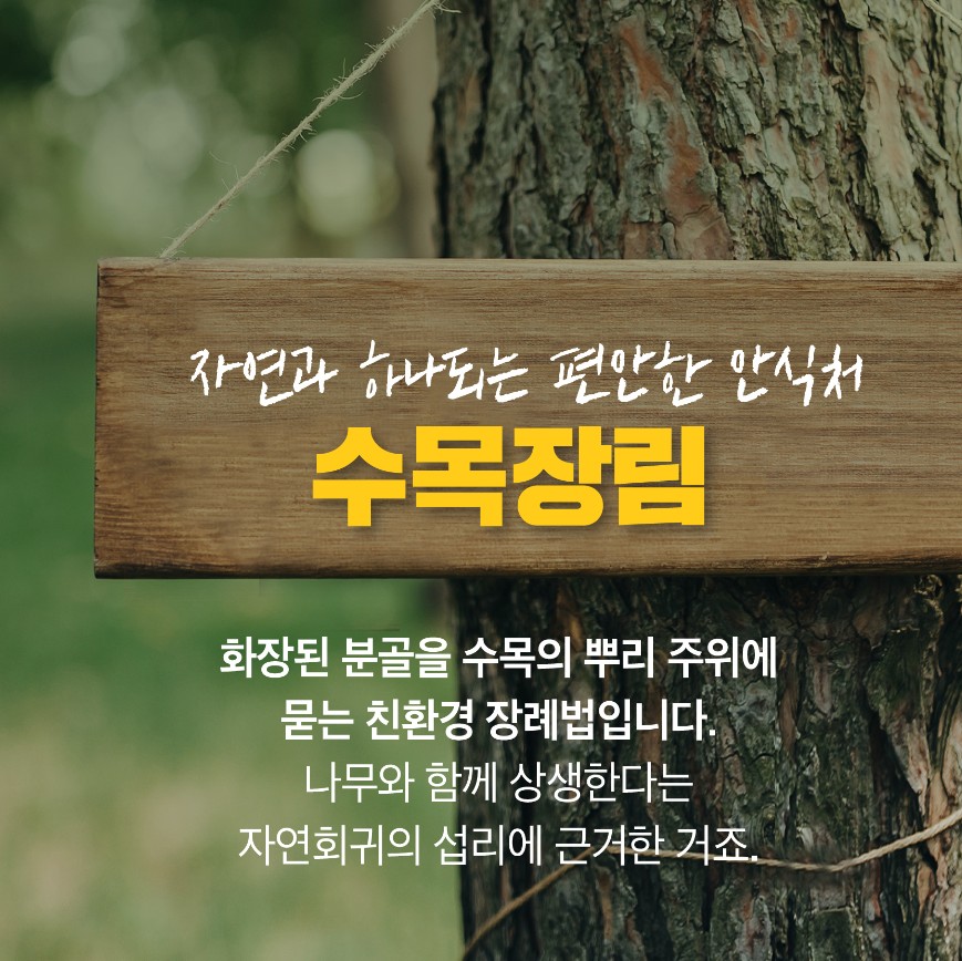 사용자 업로드 이미지