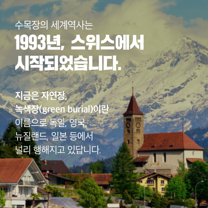 사용자 업로드 이미지