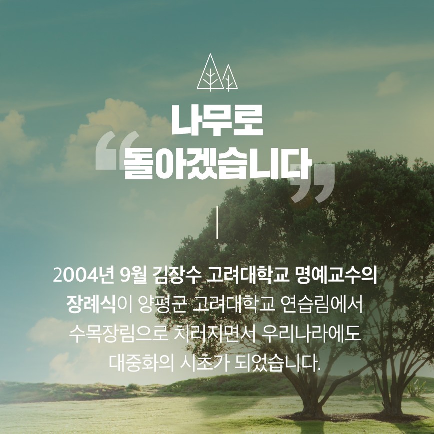 사용자 업로드 이미지