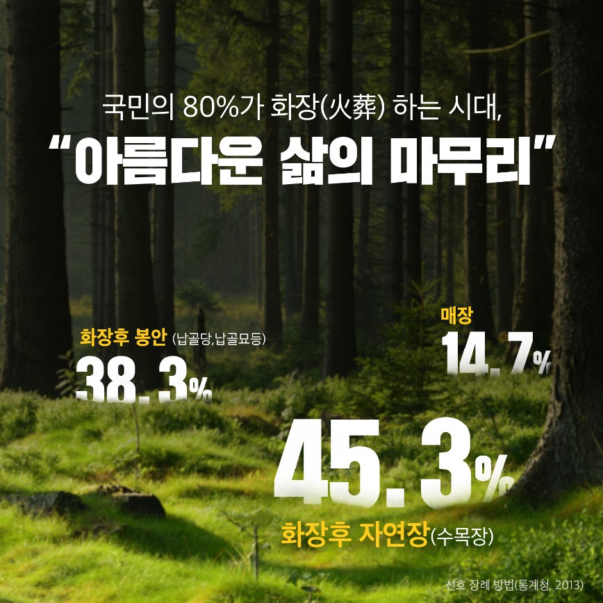 사용자 업로드 이미지