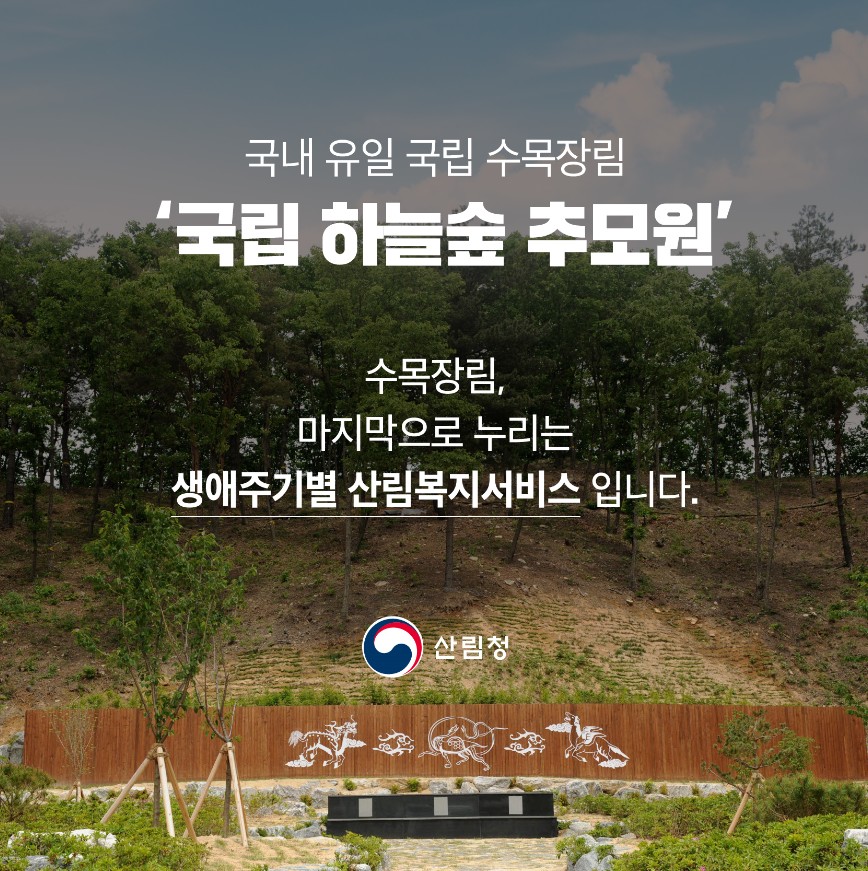 사용자 업로드 이미지