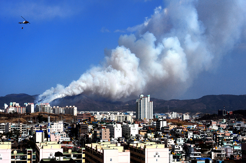 사용자 업로드 이미지