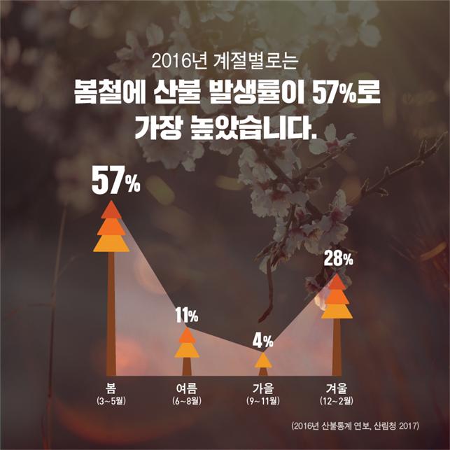 사용자 업로드 이미지