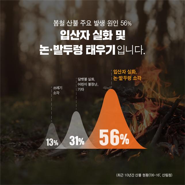 사용자 업로드 이미지