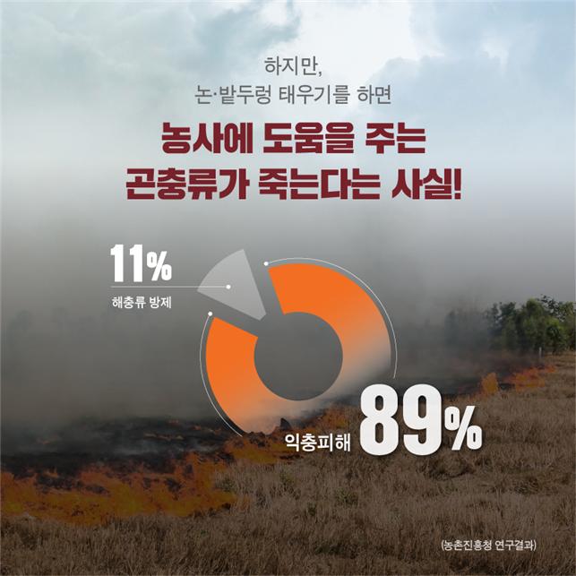 사용자 업로드 이미지