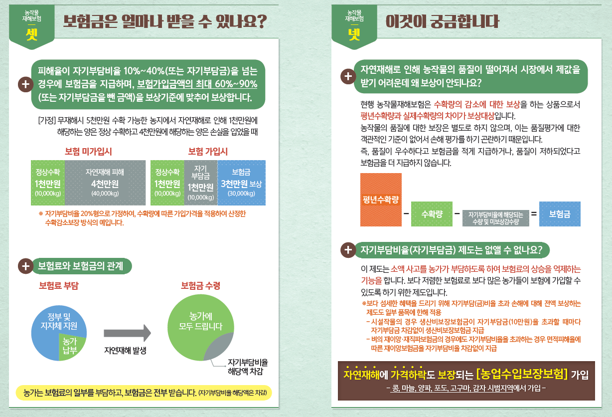 사용자 업로드 이미지