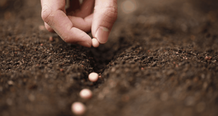 사용자 업로드 이미지