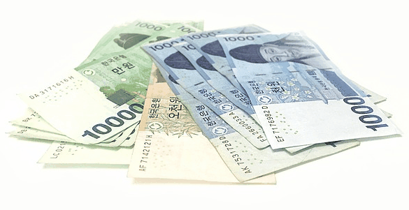 사용자 업로드 이미지