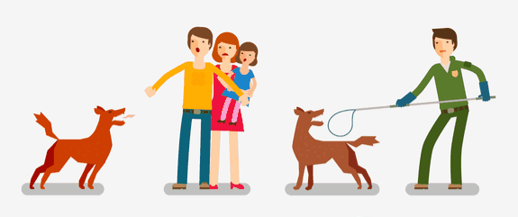 사용자 업로드 이미지