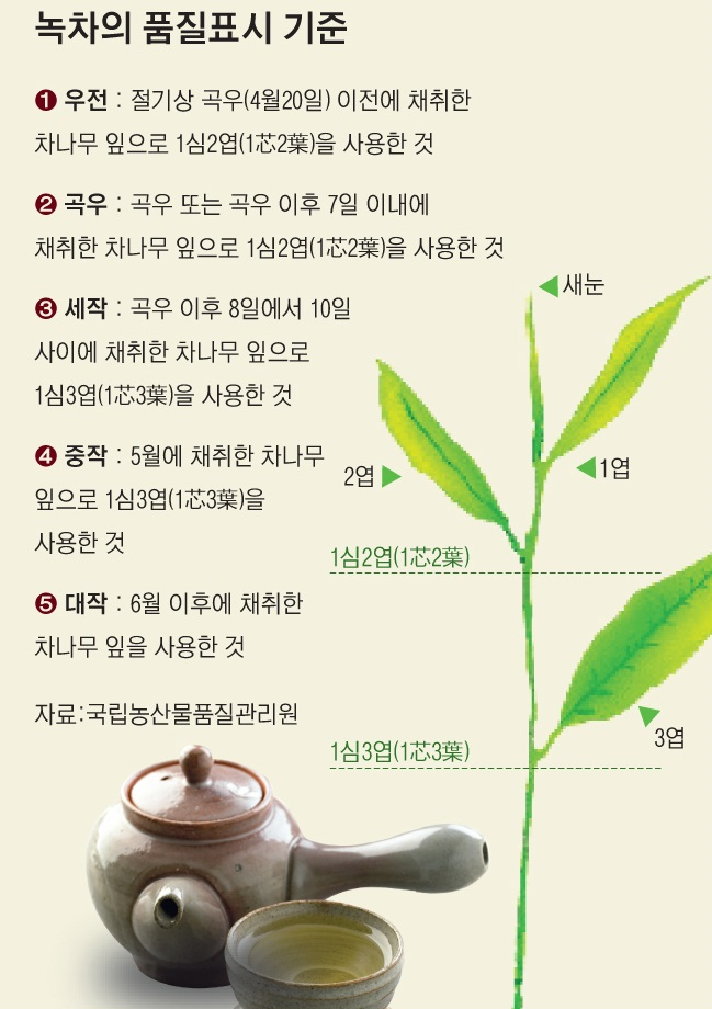 사용자 업로드 이미지
