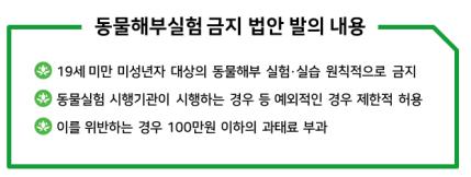 사용자 업로드 이미지