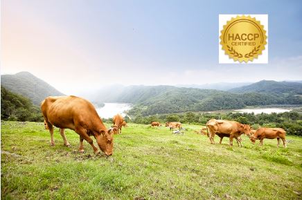 사용자 업로드 이미지