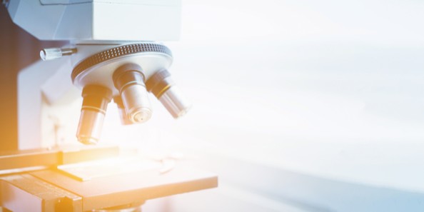 사용자 업로드 이미지