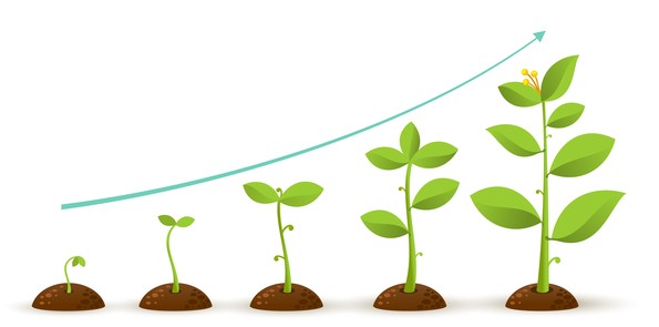 사용자 업로드 이미지