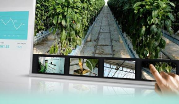 사용자 업로드 이미지