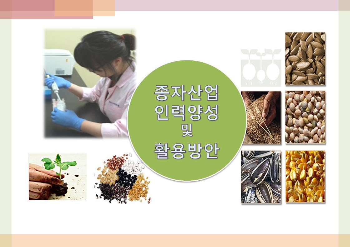 사용자 업로드 이미지