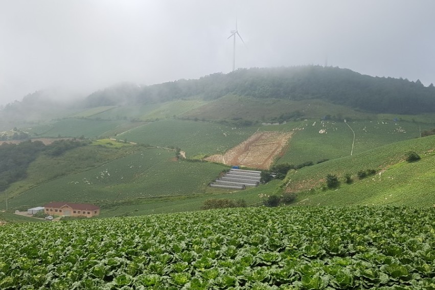 사용자 업로드 이미지