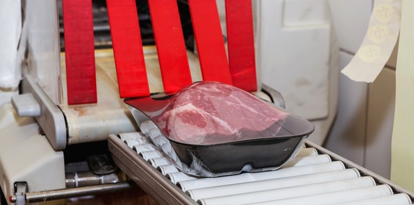 사용자 업로드 이미지