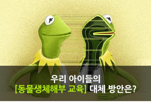 사용자 업로드 이미지