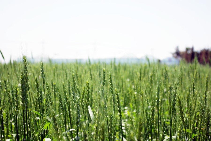사용자 업로드 이미지