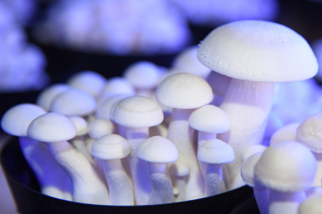 사용자 업로드 이미지