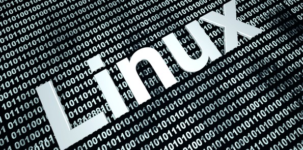 사용자 업로드 이미지