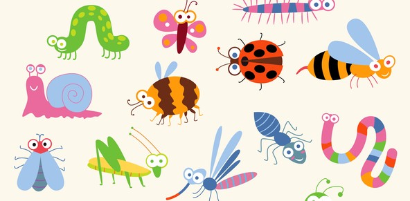 사용자 업로드 이미지