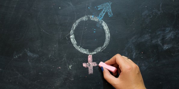 사용자 업로드 이미지