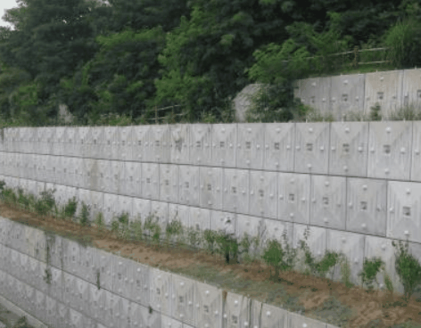 사용자 업로드 이미지