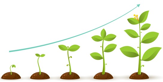 사용자 업로드 이미지