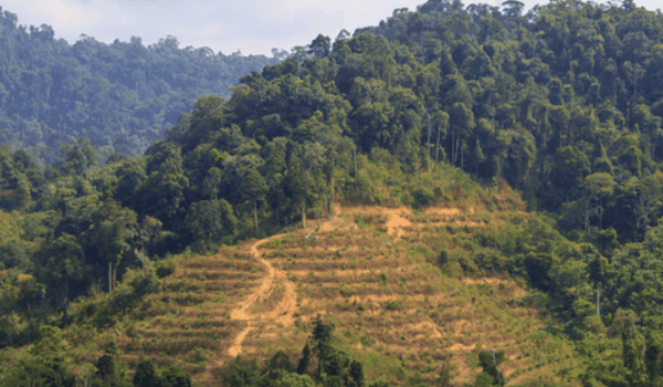 사용자 업로드 이미지