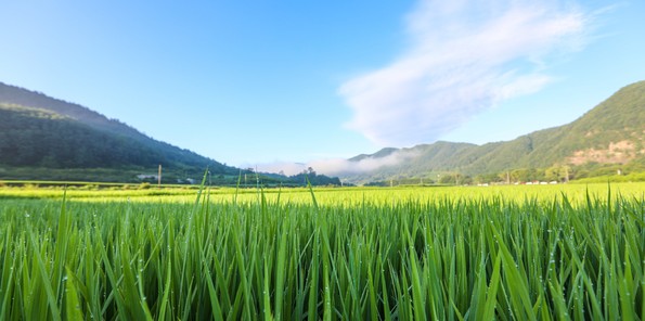 사용자 업로드 이미지