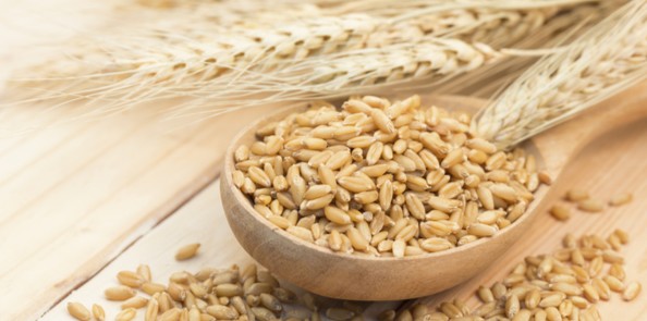 사용자 업로드 이미지