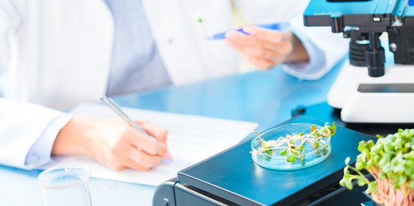 사용자 업로드 이미지