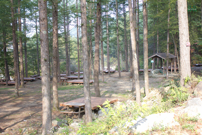 사용자 업로드 이미지