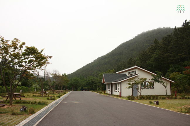 사용자 업로드 이미지